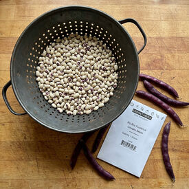 Big Boy Purplehull, Cowpea Seeds